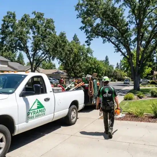 Lineage Tree Care truck arriving at a Everett residential job
