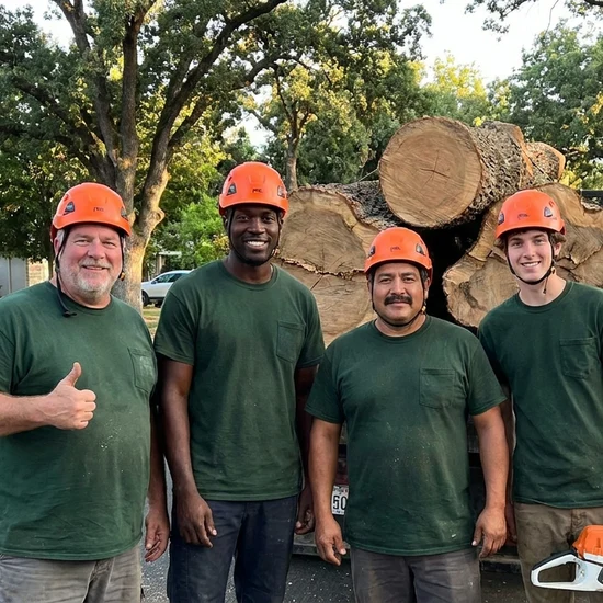 Lineage tree crew with a truck loaded with oak logs in Everett