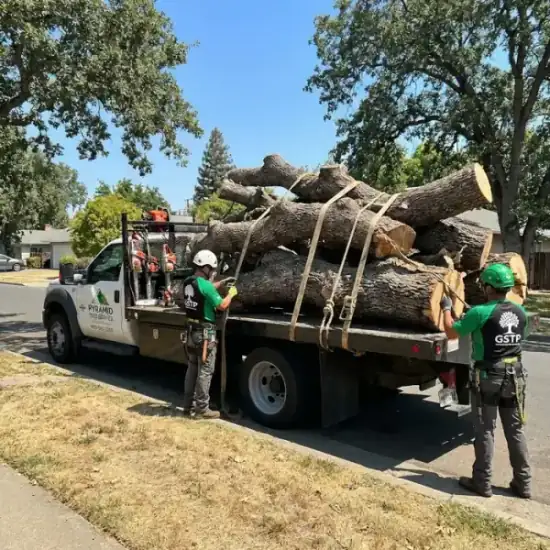 Tree service truck loaded with branches after a Everett job