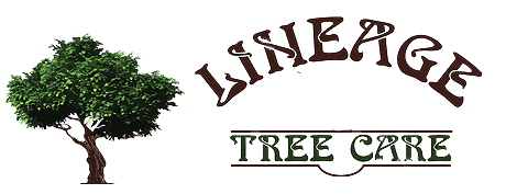 Lineage Tree Care